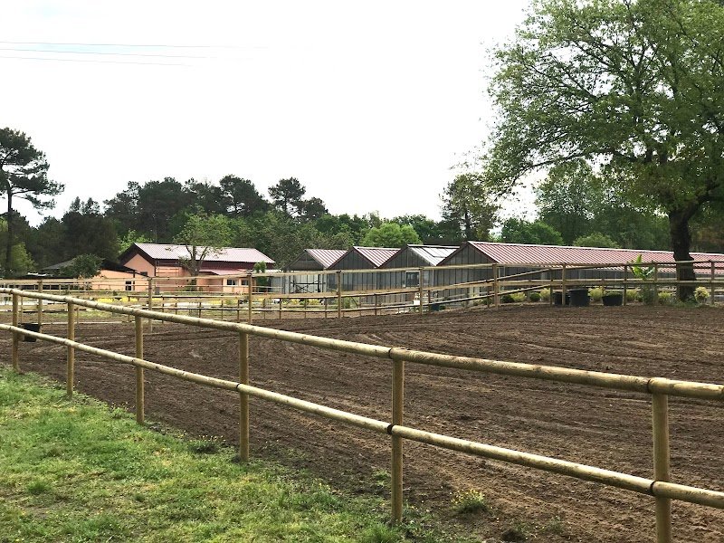 Les Écuries de Mées - photo 3