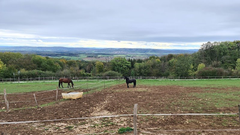 Écuries du Mont - photo 1