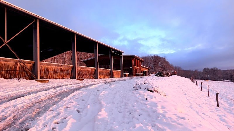 Écuries du Mont - photo 2