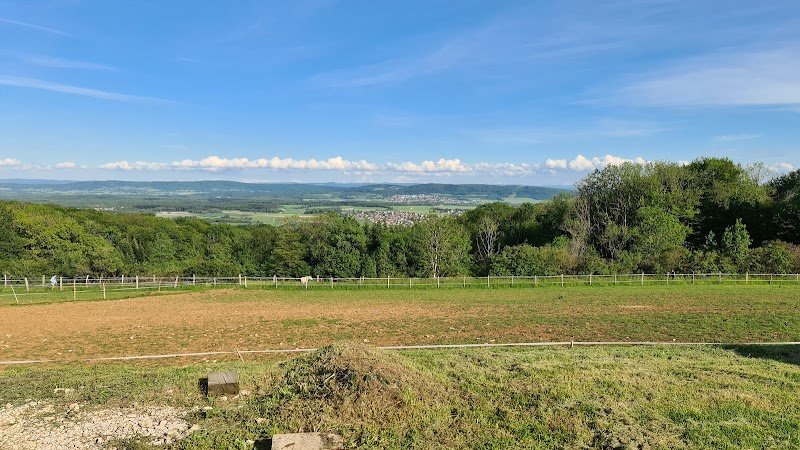 Écuries du Mont - photo 3