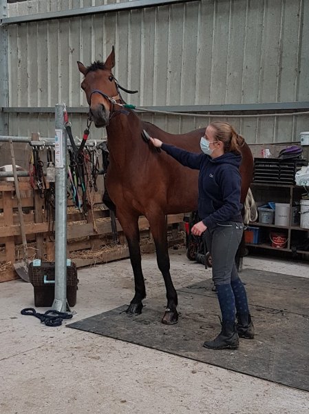 Écurie de Vopale - photo 3