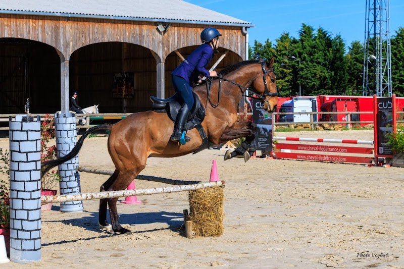 Ecurie de l'Evasion - photo 2