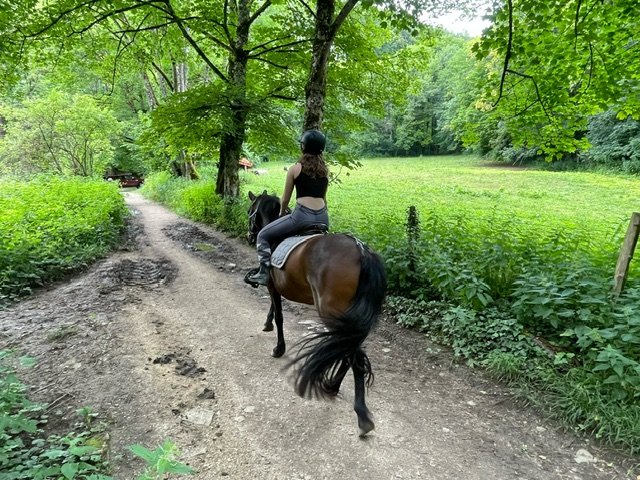 BALADE A PONEY ~ Les Destriers du Bout du Monde