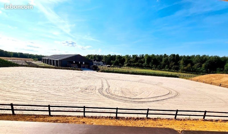 Haras de Calma - écurie de propriétaires Seine et Marne (77) - pension cheval & poney - vente - valorisation