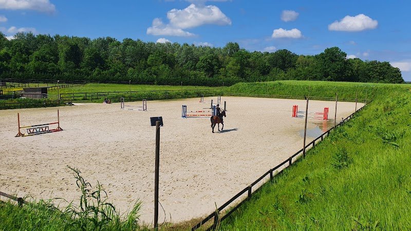 Haras de Calma - écurie de propriétaires Seine et Marne (77) - pension cheval & poney - vente - valorisation - photo 2