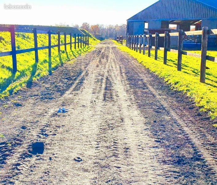 Haras de Calma - écurie de propriétaires Seine et Marne (77) - pension cheval & poney - vente - valorisation - photo 3