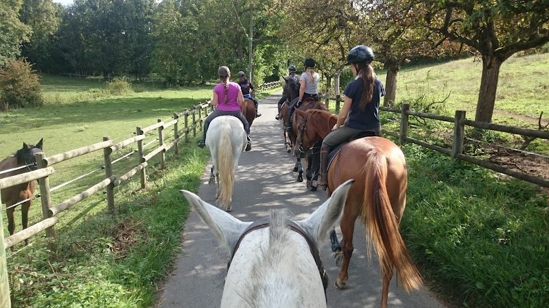 Ecurie Sebelle - photo 2