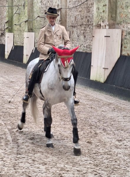 Cesab Ecurie de propriétaires - photo 1
