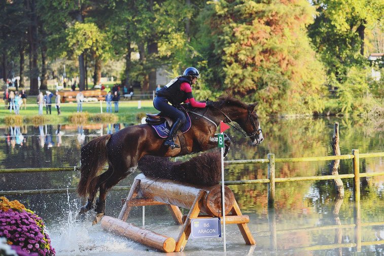 Ecurie d'Aubin - photo 1