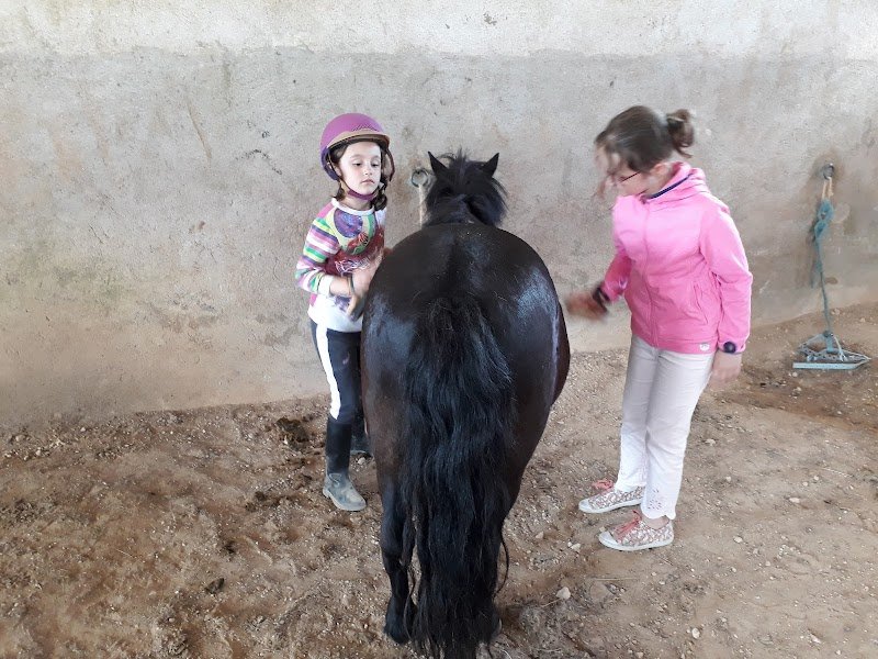 Centre Équestre Amaury Paul Earl - photo 3