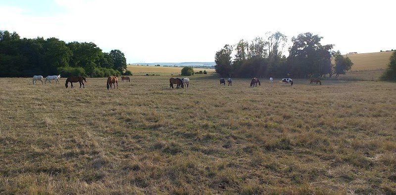 Écurie du lery - photo 2