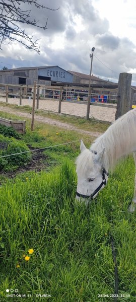 Écurie du lery - photo 3