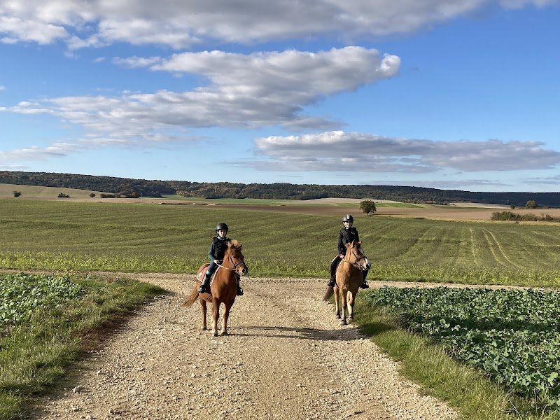 LES ECURIES DE LA GRISE - photo 3