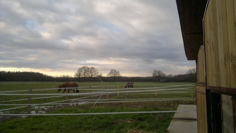 Haras de Melrey - photo 2