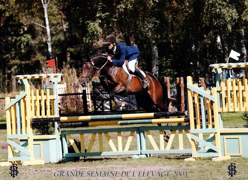 Haras de Melrey - photo 3