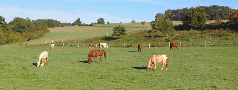 Les Écuries de Trotignon