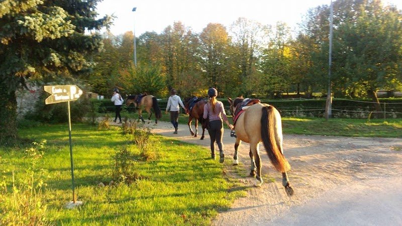 Les Écuries de Trotignon - photo 2