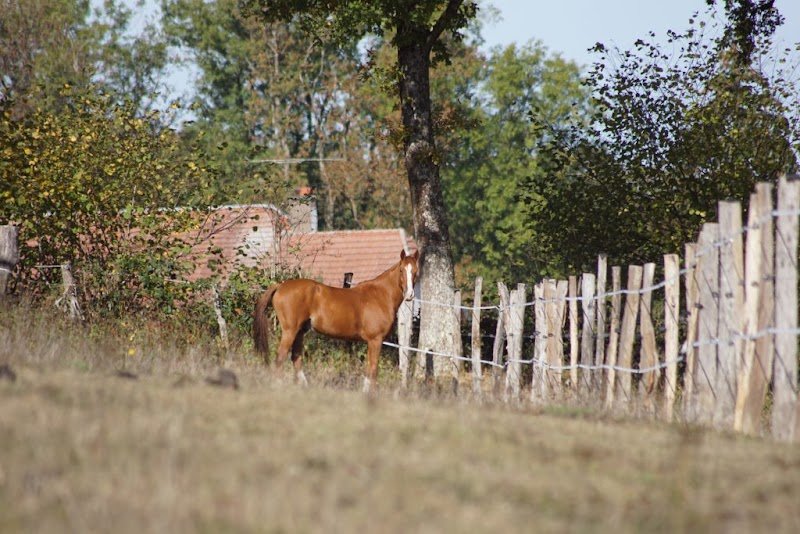 Ecurie des Campenottes - photo 3