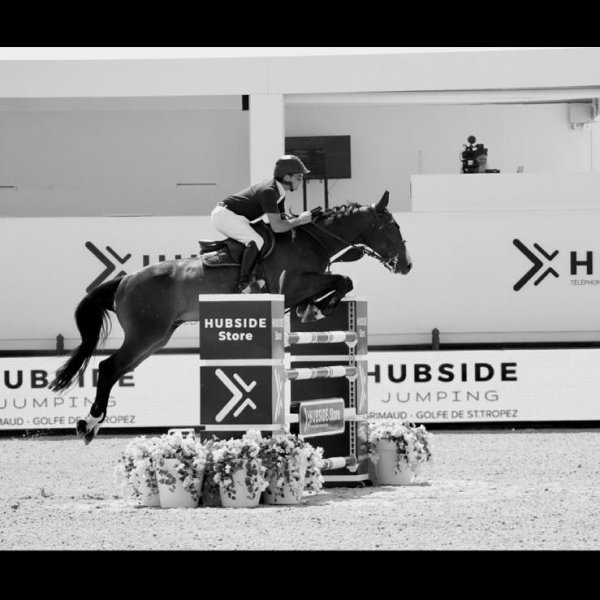 Les Ecuries Arnaud Fontenelle - photo 2