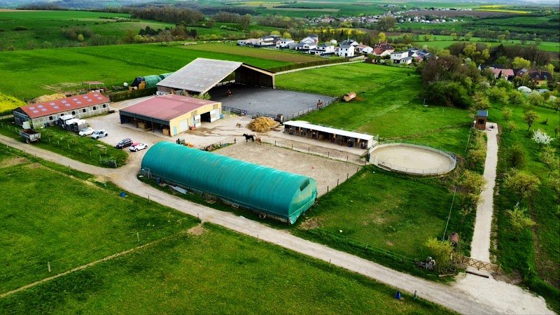 Écurie du Rougy - photo 2