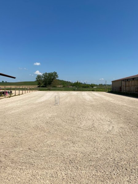 Pension chevaux : Ferme de Gérardcourt - photo 2