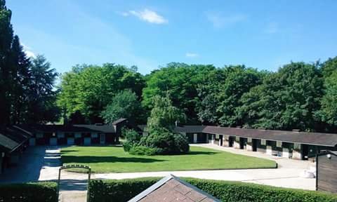 Les Ecuries des H - Ecuries et Pensions pour Chevaux à Fontainebleau - photo 2