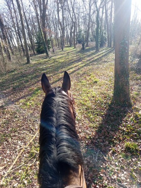 Ecurie Lo Schito - photo 3