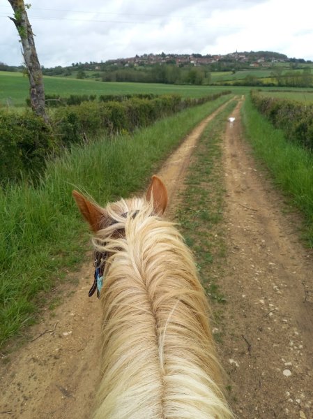 Ecurie De La Fontaine - photo 1