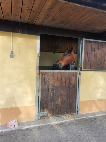 Ecurie de Rougemont EARL