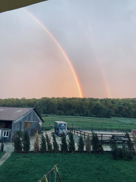 Écurie du Tremblet - photo 2