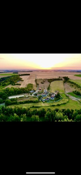 PENSION CHEVAUX DU DOMAINE DE COURTIEUX