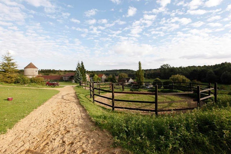 PENSION CHEVAUX DU DOMAINE DE COURTIEUX - photo 3
