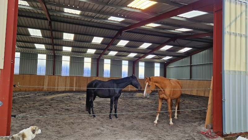 Haras du Val des Charmes - photo 2