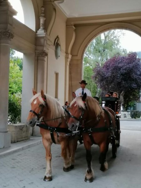 Ecurie du Pramier - photo 1