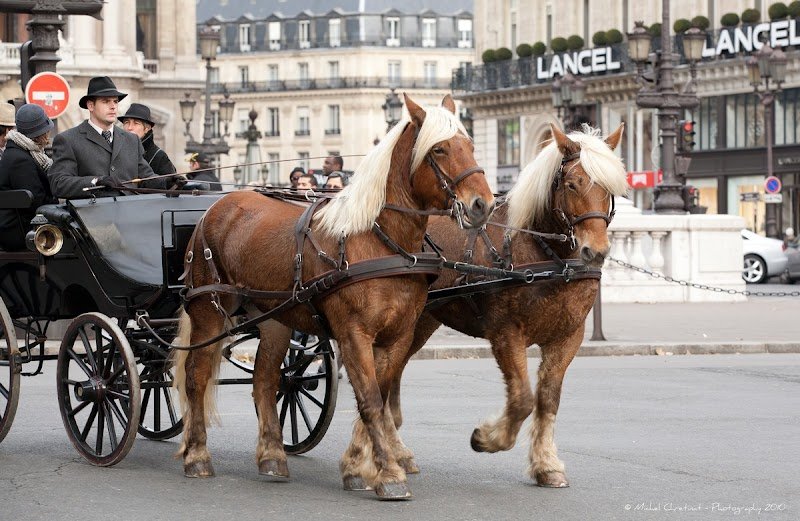 Ecurie du Pramier - photo 3