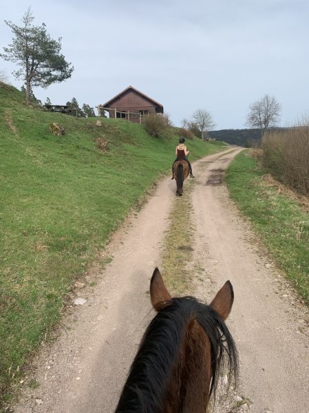 Ferme équestre de la Charme - photo 1