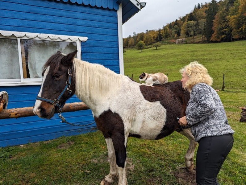Ferme équestre de la Charme - photo 3