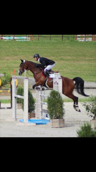 Les Écuries de Pearly