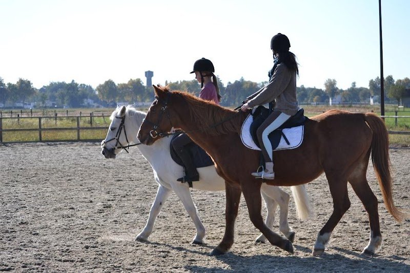 LES ECURIES DE MICY - photo 2