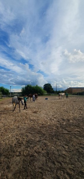 Ecurie Franck Thermeau EI - photo 2