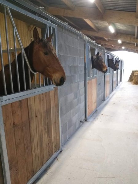 Ecurie Marblésienne - photo 3