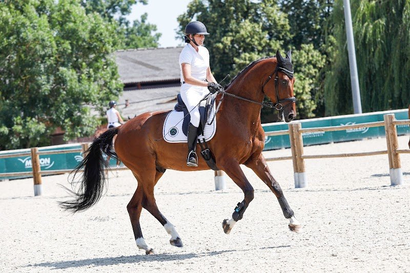 Ecurie du Champ Trafort - photo 1