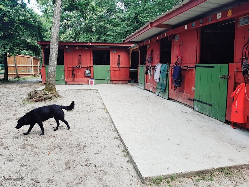 Ecurie L'eau De Fosse - photo 2