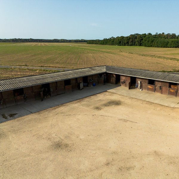 Ecurie Le Blond - photo 3