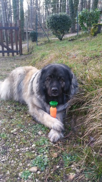 La Pension de Cécile - photo 1