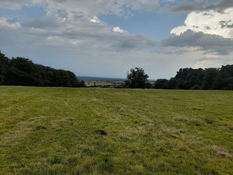 Écuries des roses - photo 1