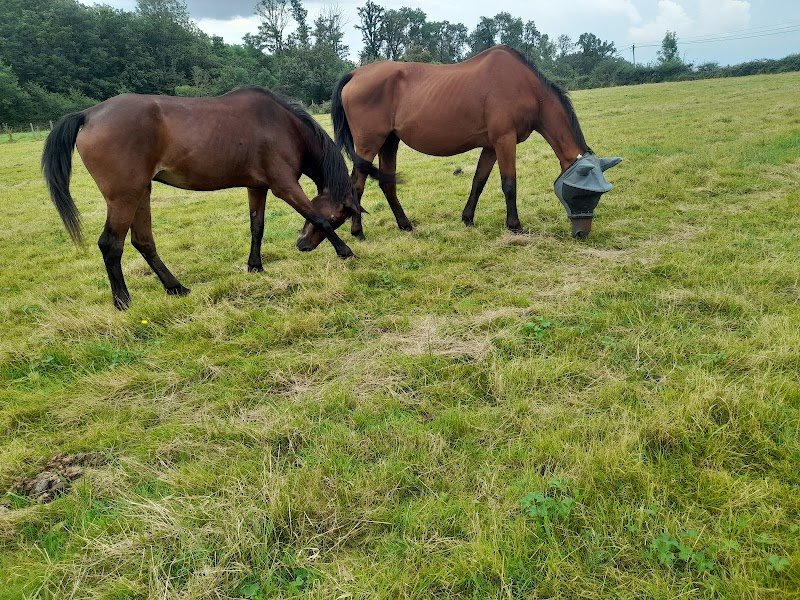 Écuries des roses - photo 3