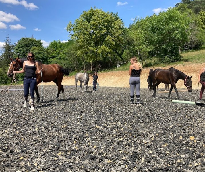 Écurie de Laurvale - photo 1