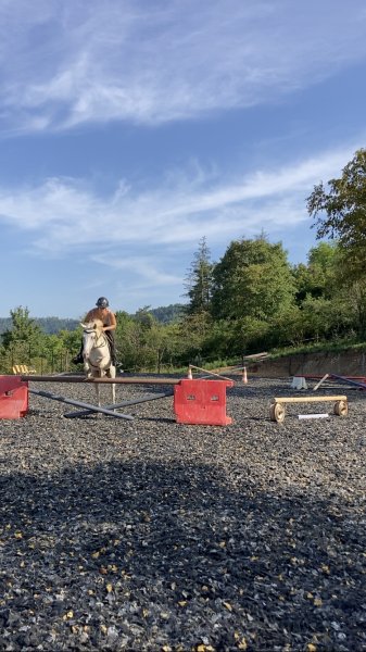 Écurie de Laurvale - photo 2