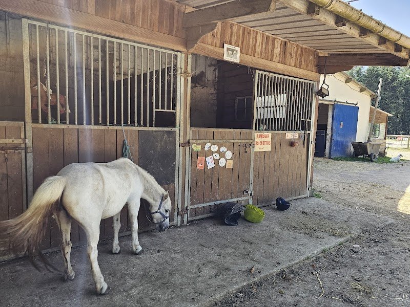 Les Écuries de Château Chinon - photo 2